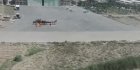 Filename=DEnRLC2XsAE__yX.jpg
Filesize=37KiB
Dimensions=718x360
Date added=Jul 14, 2017 DEnRLC2XsAE__yX.jpg