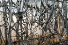 Filename=UMPO_283329.jpg
Filesize=193KiB
Dimensions=1000x667
Date added=Apr 27, 2016 UMPO_283329.jpg