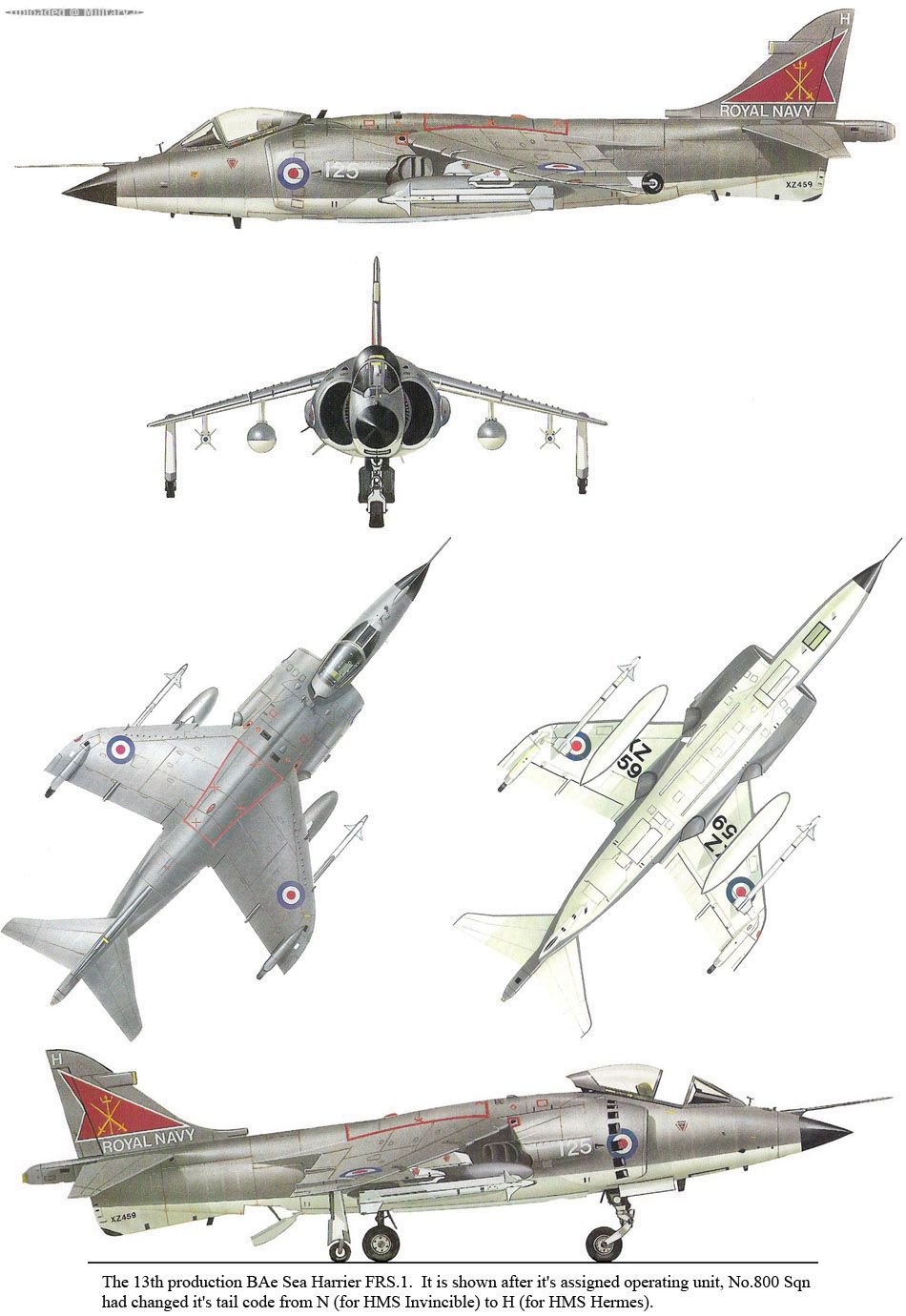 BAe_Sea_Harrier_FRS_1_WM1.jpg