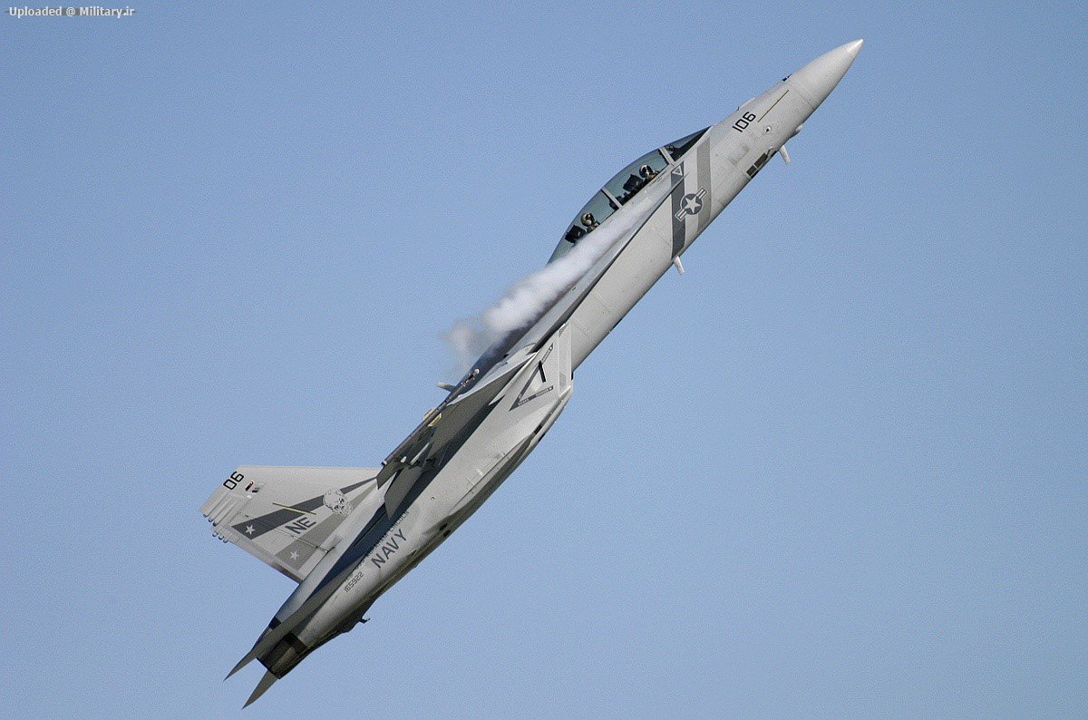 Boeing_F_A-18F_Super_Hornet.jpg