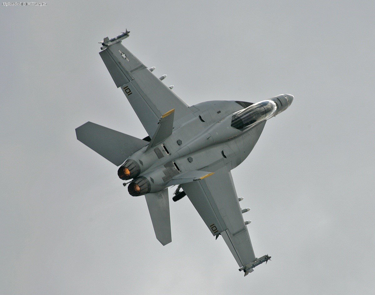 Boeing_F_A-18F_Super_Hornet_1.jpg