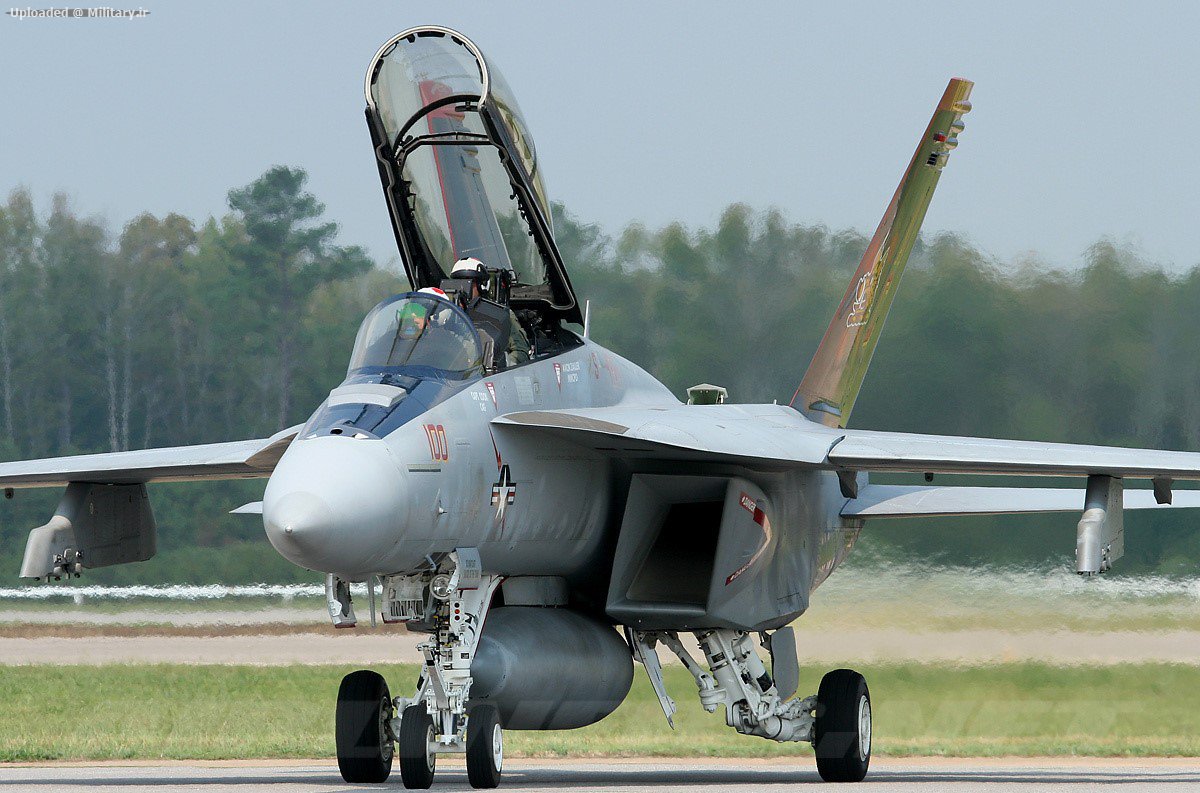 Boeing_F_A-18F_Super___Hornet.jpg