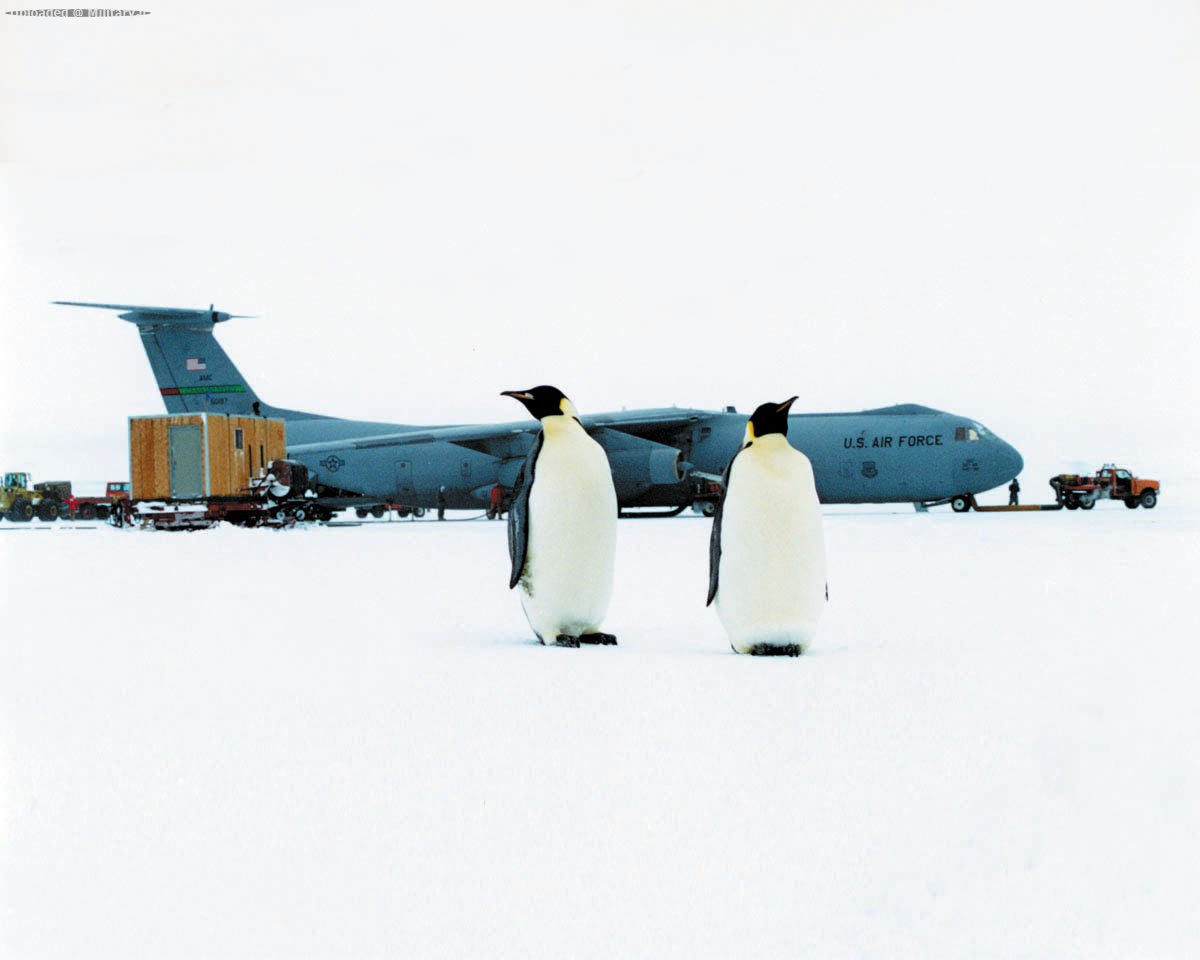 C-141_Starlifter_with_penguins.jpg