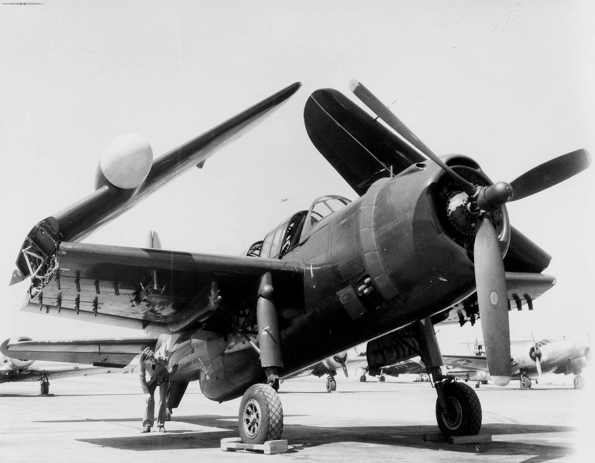 Consolidated_TBY-2_with_folded_wings_194