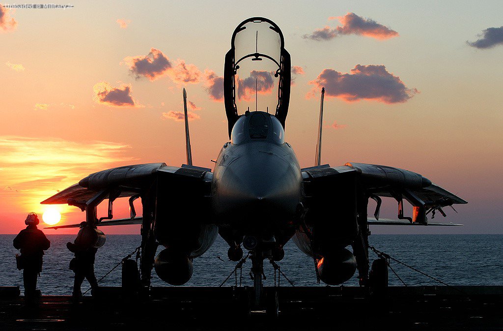 Grumman_F-14D28R29_Tomcat.jpg