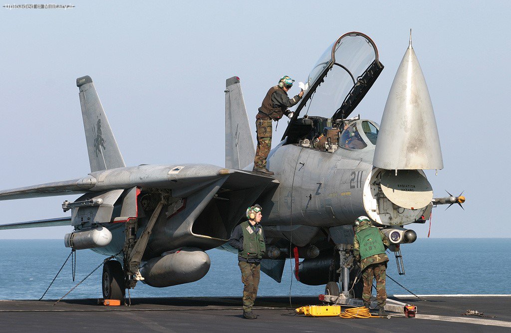 Grumman_F-14D28R29_Tomcat_1.jpg