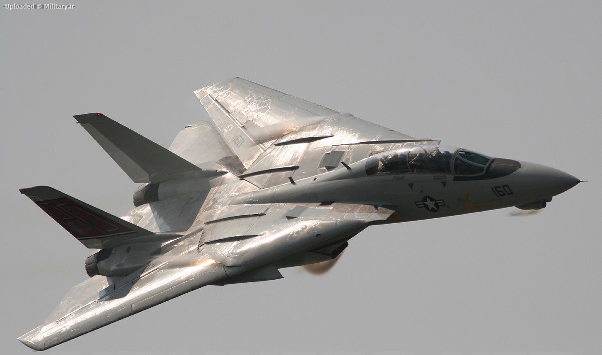 Grumman_F-14D_Tomcat.jpg