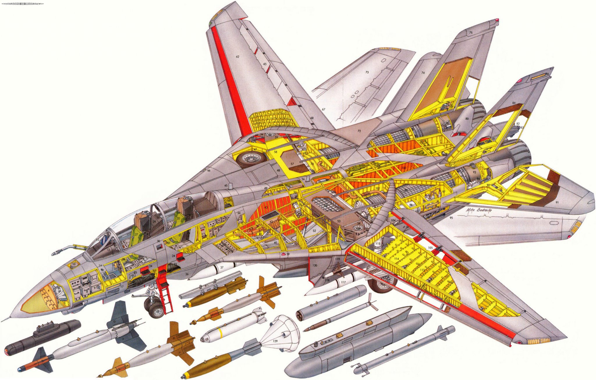 Grumman_F-14_Tomcat.jpg