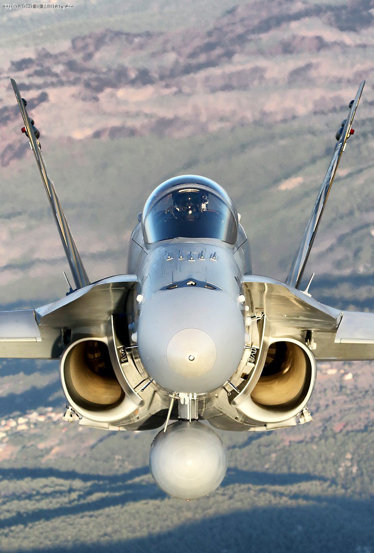 McDonnell_Douglas_F_A-18C_Hornet_1.jpg