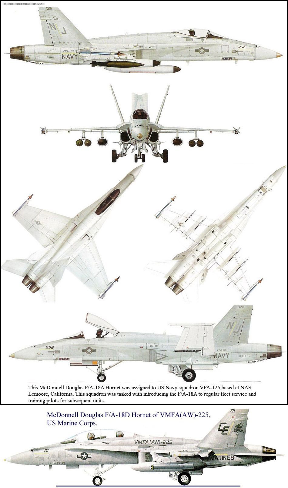 McDonnell_Douglas_F_A-18_Hornet_WM1.jpg
