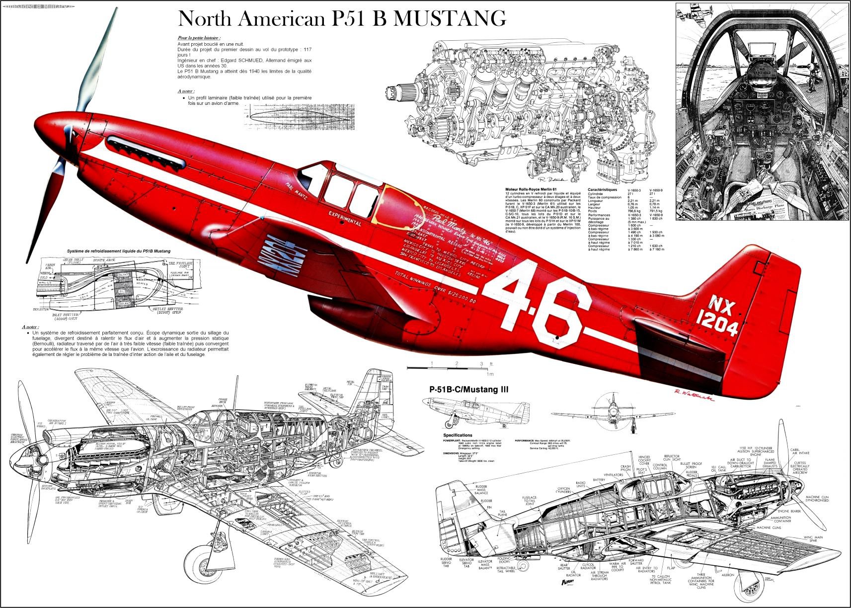 North_American_P-51_Mustang_---.jpg