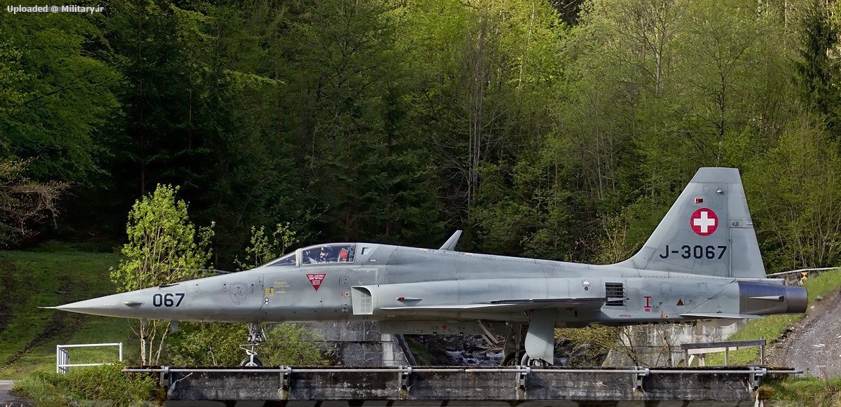 Northrop_F-5E_Tiger_II_3.jpg