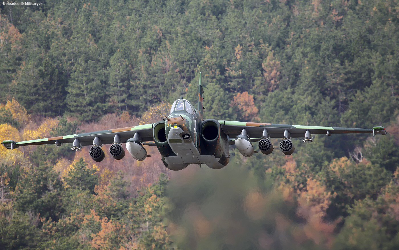 Sukhoi_Su-25K.jpg