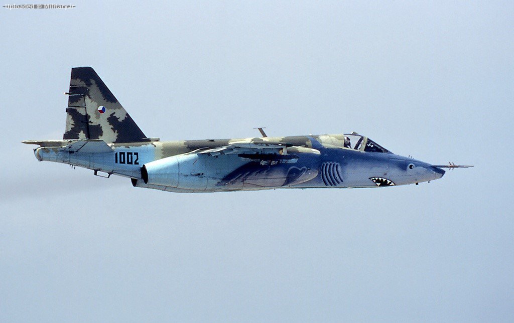 Sukhoi_Su-25K_4.jpg