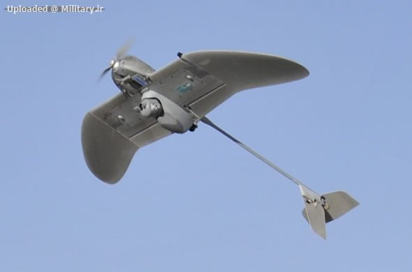 Wasp-AE-UAV-aerovironment.jpg