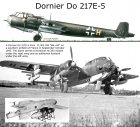 thumb_Dornier-Do-217E5-6_KG100-6N2BHP-Fr