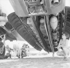 thumb_Wellington_bomb_bay_India_WWII_IWM