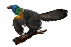 Filename=caihong-juji.jpg
Filesize=240KiB
Dimensions=2048x1366
Date added=Mar 24, 2019 caihong-juji.jpg