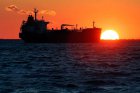 Filename=oilPrice.jpg
Filesize=114KiB
Dimensions=1200x800
Date added=Jun 22, 2019 oilPrice.jpg