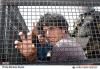 Filename=دستگيري_متهم_فرضي_در_رزمايش_اقتدار_،_امنيت_و_آرامش_شهر_زنجان.jpg
Filesize=108KiB
Dimensions=600x418
Date added=Aug 17, 2009 دستگيري_متهم_فرضي_در_رزمايش_اقتدار_،_امنيت_و_آرامش_شهر_زنجان.jpg