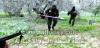 Filename=081221082112gFFE.jpg
Filesize=121KiB
Dimensions=500x241
Date added=Dec 29, 2008 081221082112gFFE.jpg