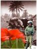 Filename=14396-defamoghadas.jpg
Filesize=8KiB
Dimensions=150x200
Date added=Sep 21, 2008 14396-defamoghadas.jpg