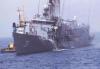 Filename=FFG-31-Stark-Exocet-1-S.jpg
Filesize=33KiB
Dimensions=640x445
Date added=May 31, 2008 FFG-31-Stark-Exocet-1-S.jpg