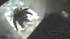 Filename=Redbull_s_Mission.jpg
Filesize=48KiB
Dimensions=448x251
Date added=Mar 18, 2012 Redbull_s_Mission.jpg