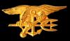 Filename=US_Navy_SEALs_insignia.png
Filesize=265KiB
Dimensions=647x382
Date added=Jul 09, 2009 US_Navy_SEALs_insignia.png