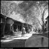 Filename=iran-w2-11.jpg
Filesize=83KiB
Dimensions=597x599
Date added=Oct 07, 2008 iran-w2-11.jpg