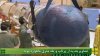 Filename=safir_navid_asm_17.jpg
Filesize=58KiB
Dimensions=529x298
Date added=Feb 09, 2012 safir_navid_asm_17.jpg